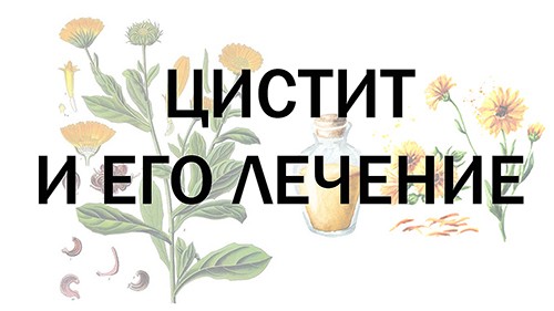 Цистит и его лечение