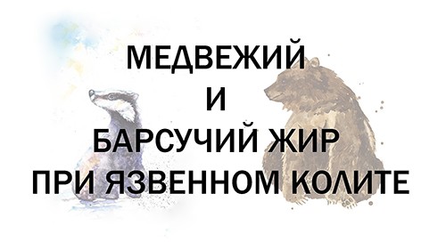 Медвежий и барсучий жир при язвенном колите