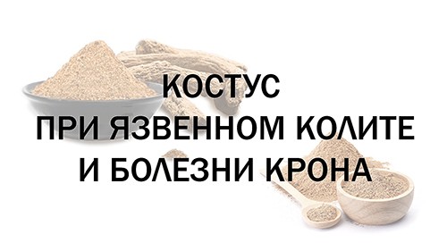 Костус при язвенном колите и болезни Крона
