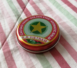 Вьетнамская звездочка. Простуда во время голодания.