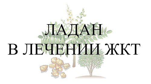 Ладан в лечении ЖКТ