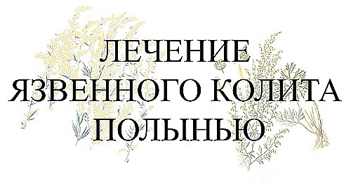 Лечение язвенного колита полынью