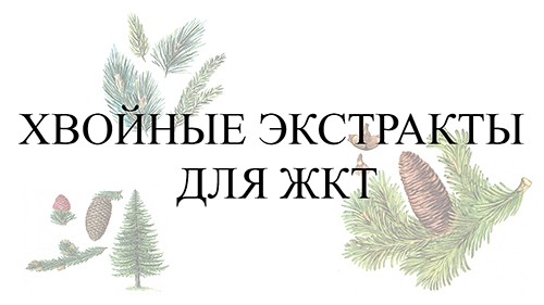 Хвойные экстракты для ЖКТ